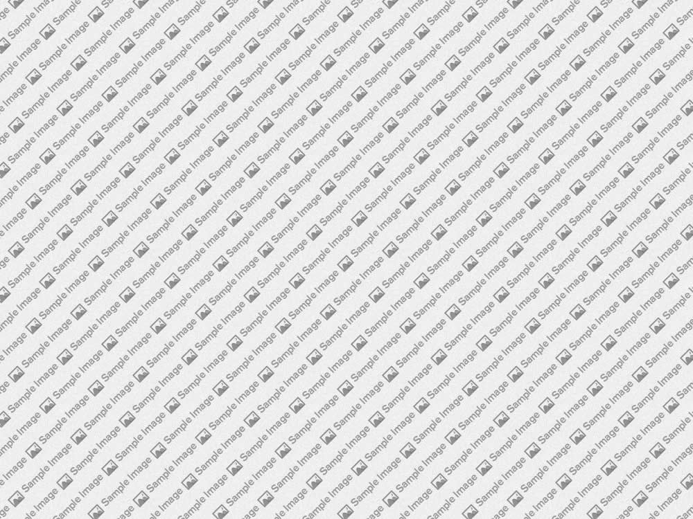 http://studius.15.demofarsi.ir/Image%203